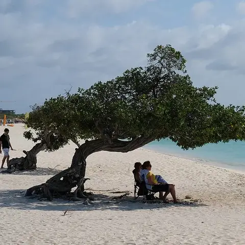 Aruba, Eagle Beach