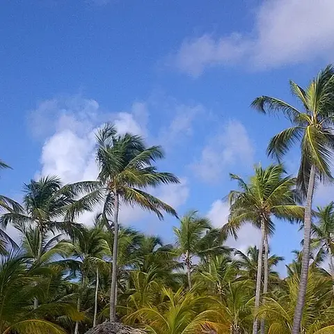 Dominican Republic, Punta Cana